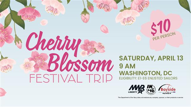 Cherry Blossom Festival Trip (DAH-2098-2024) WEB BANNER.jpg