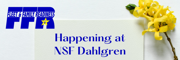 Pink Floral Newsletter Email Header .png
